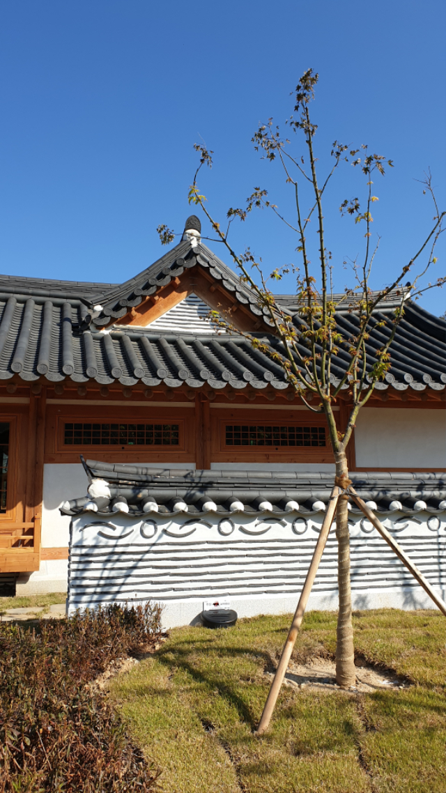 KakaoTalk_20191104_114835349_21.jpg